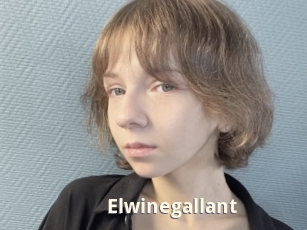 Elwinegallant