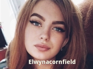 Elwynacornfield