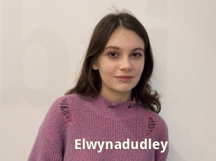 Elwynadudley