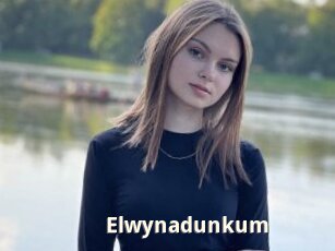 Elwynadunkum