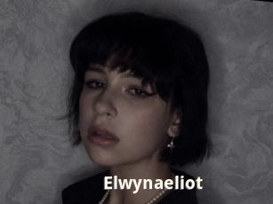 Elwynaeliot