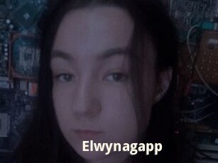 Elwynagapp