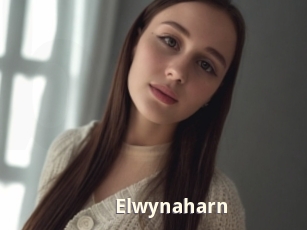 elwynaharn Bigtitinvasion
