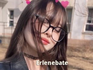 Erlenebate