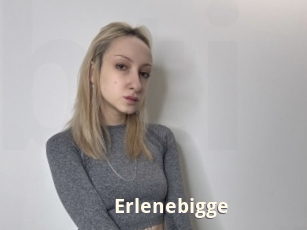 Erlenebigge