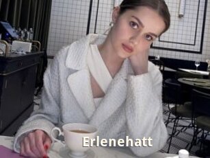 Erlenehatt