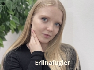Erlinafugler