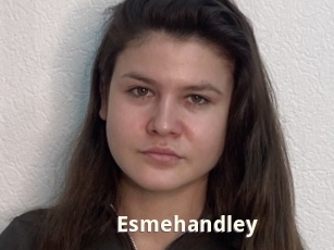 Esmehandley