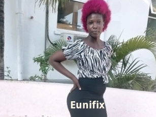 Eunifix
