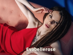 Evabellerose