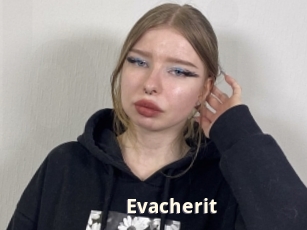 Evacherit