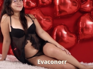 Evaconorr