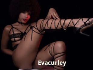 Evacurley