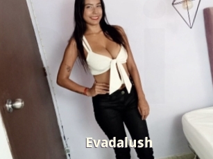 Evadalush