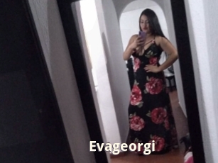 Evageorgi