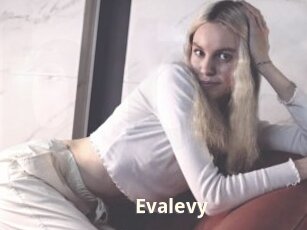 Evalevy