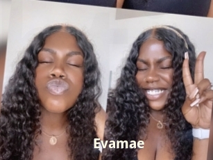 Evamae