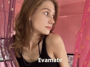 Evamate