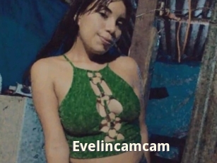 Evelincamcam