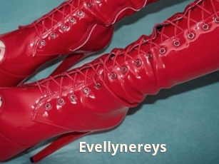 Evellynereys