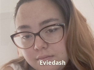 Eviedash