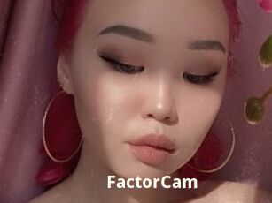 FactorCam