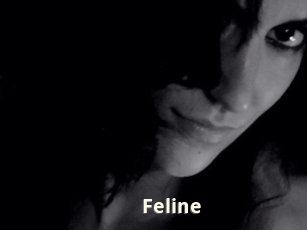 Feline