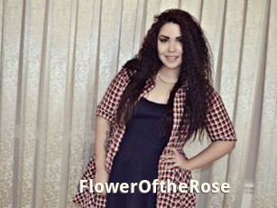 FlowerOftheRose
