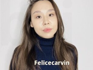 Felicecarvin