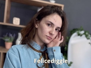 Felicediggle