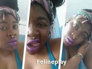 Felineplay