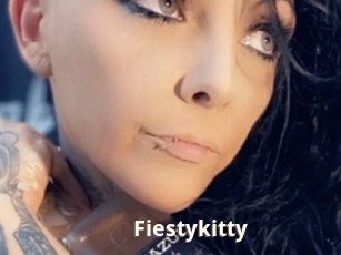 Fiestykitty