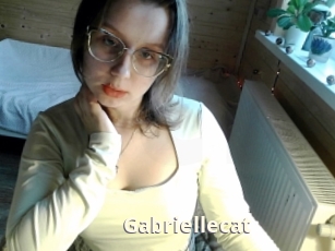 Gabriellecat