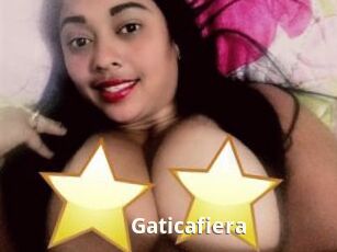 Gaticafiera