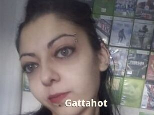 Gattahot