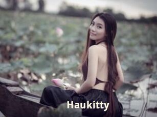 Haukitty