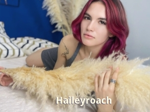 Haileyroach