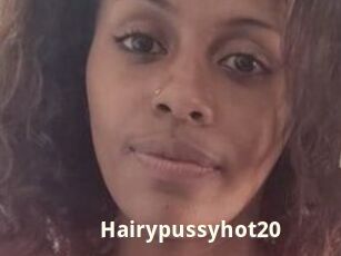 Hairypussyhot20