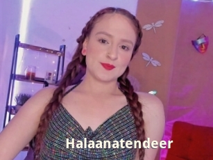 Halaanatendeer