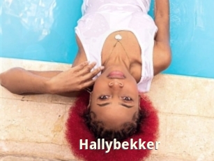 Hallybekker
