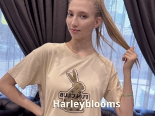 Harleyblooms