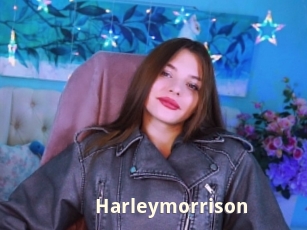 Harleymorrison