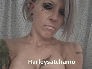 Harleysatchamo