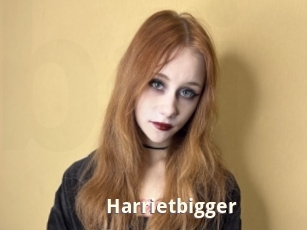 Harrietbigger