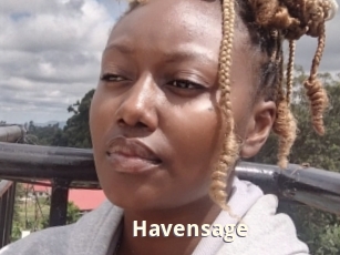 Havensage