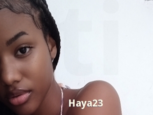 Haya23