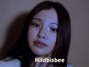 Hildbisbee