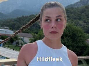 Hildfleek