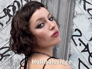 Hollisaldridge
