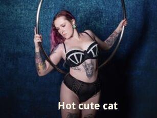 Hot_cute_cat